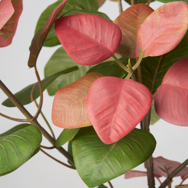 FEJKA artificial potted plant, in/outdoor smoke tree, 12 cm
