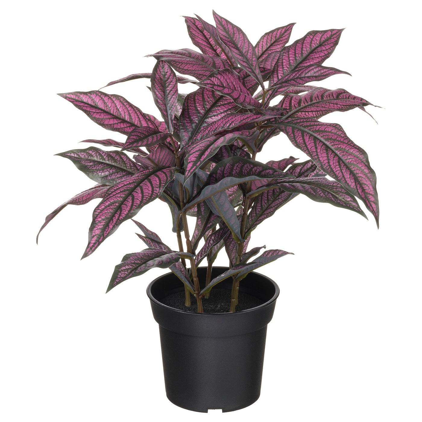 FEJKA artificial potted plant, in/outdoor Persian shield, 15 cm