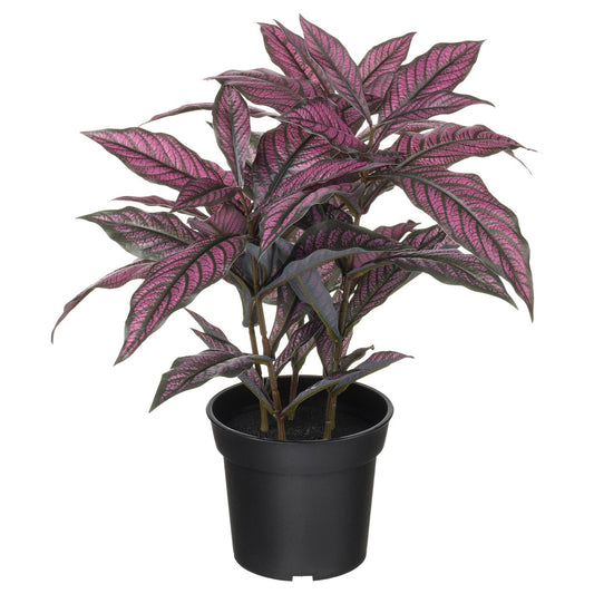 FEJKA artificial potted plant, in/outdoor Persian shield, 15 cm