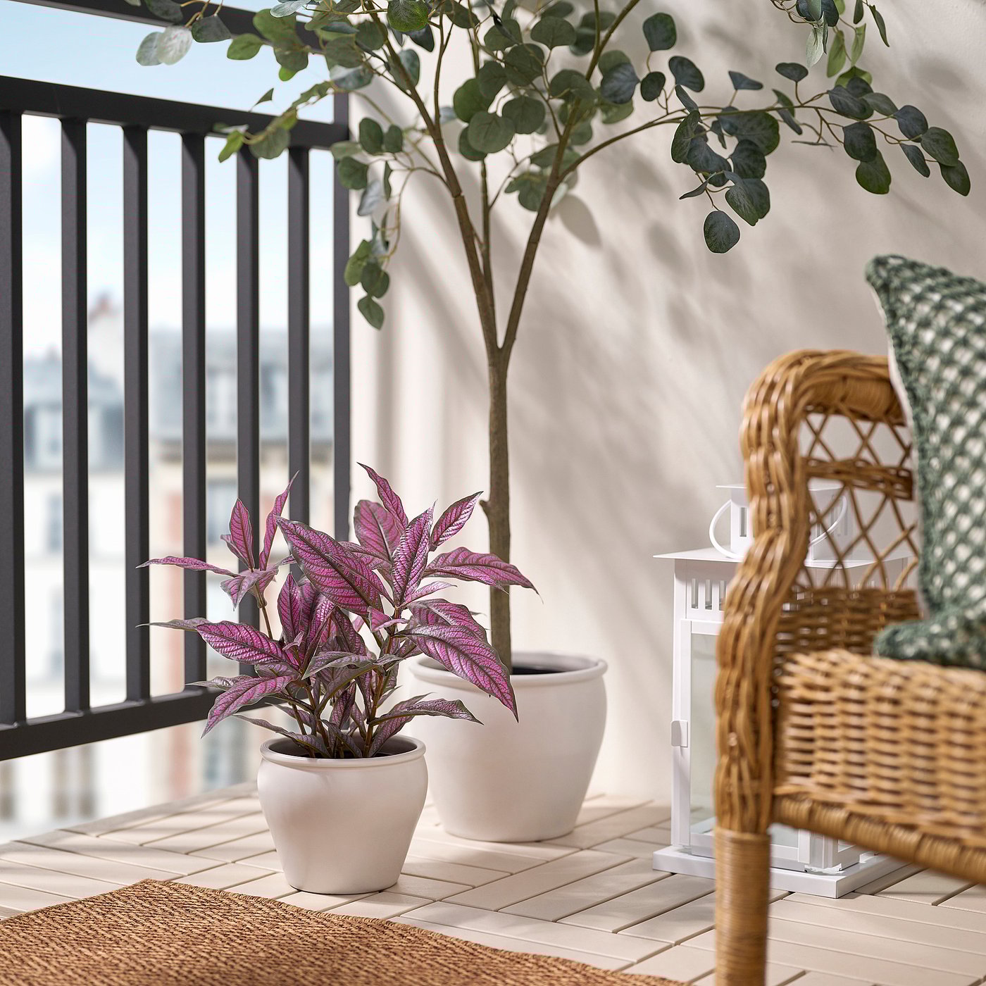 FEJKA artificial potted plant, in/outdoor Persian shield, 15 cm