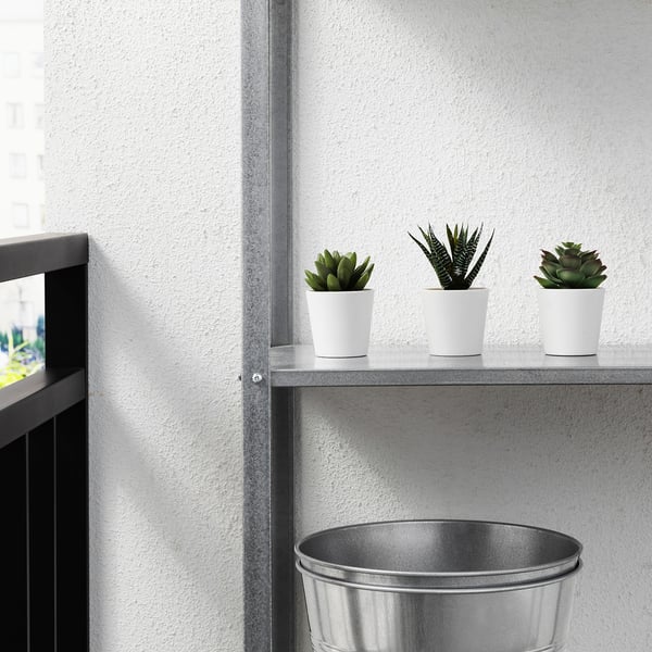 FEJKA artificial potted plant with pot, in/outdoor Succulent, 6 cm 3 pack, 3 pack