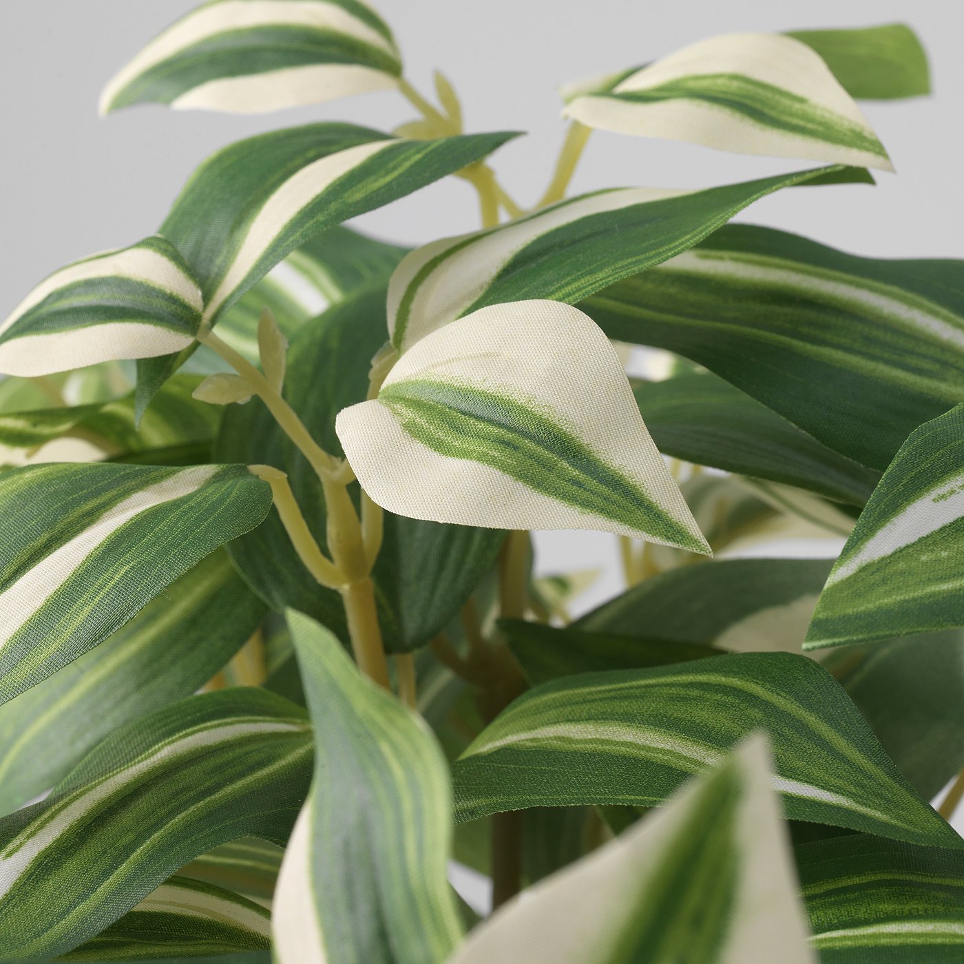 FEJKA artificial potted plant, in/outdoor/tradescantia zebrina, 12 cm