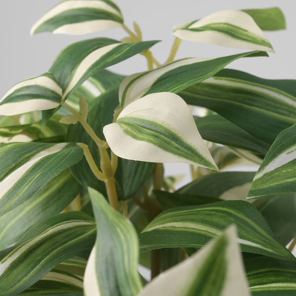 FEJKA artificial potted plant, in/outdoor/tradescantia zebrina, 12 cm