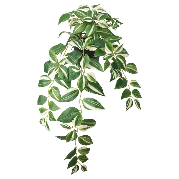 FEJKA artificial potted plant, in/outdoor/tradescantia zebrina, 12 cm