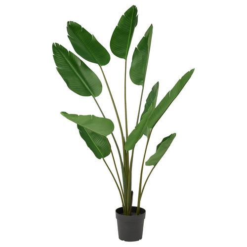 FEJKA artificial potted plant, in/outdoor/Bird of paradise, 23 cm