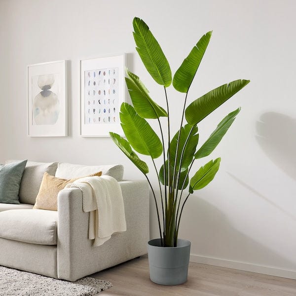 Ikea FEJKA - Artificial potted plant, in/outdoor Bird of paradise, 23 cm