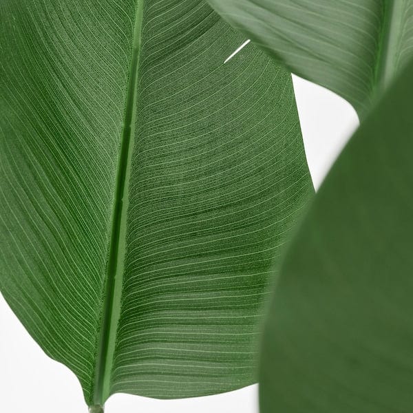 Ikea FEJKA - Artificial potted plant, in/outdoor Bird of paradise, 23 cm