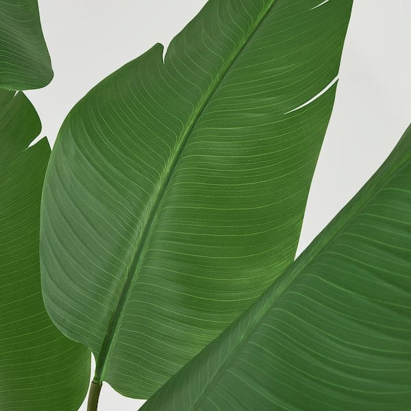 Ikea FEJKA - Artificial potted plant, in/outdoor Bird of paradise, 23 cm