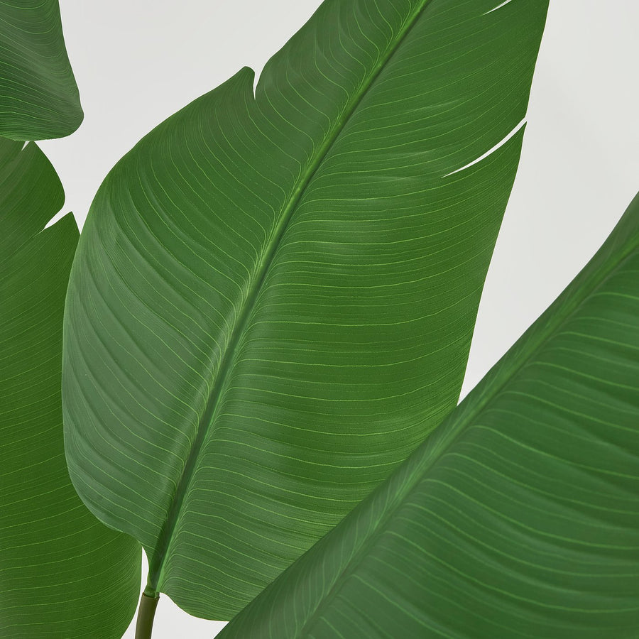 FEJKA artificial potted plant, in/outdoor/Bird of paradise, 23 cm