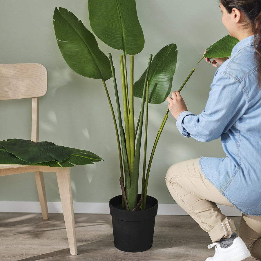 FEJKA artificial potted plant, in/outdoor/Bird of paradise, 23 cm