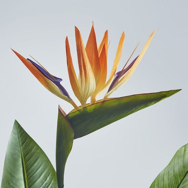 Ikea FEJKA - Artificial pot plant, indoor/outdoor Bird of Paradise, 19 cm