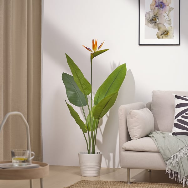 FEJKA artificial potted plant, in/outdoor Bird of paradise