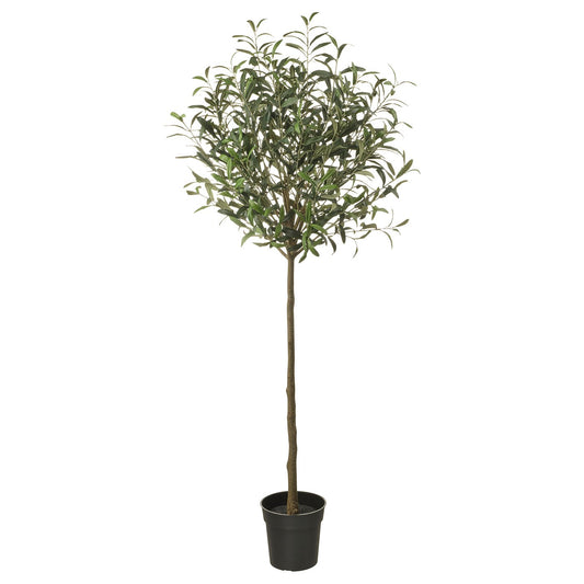 FEJKA artificial potted plant, in/outdoor/Olive tree green, 19 cm