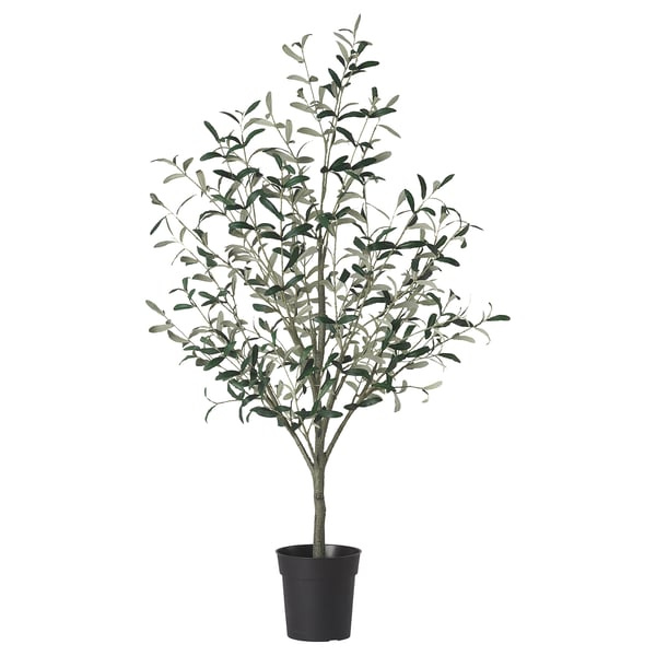 FEJKA artificial potted plant, in/outdoor Olive tree