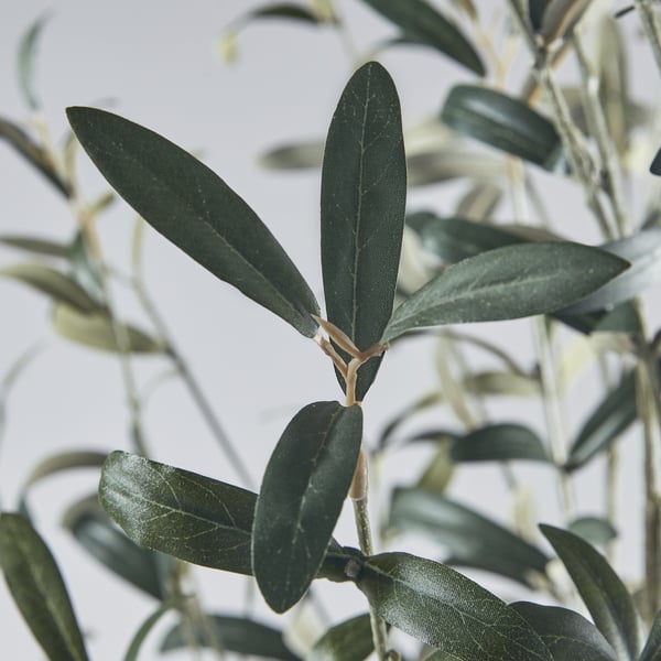 FEJKA artificial potted plant, in/outdoor Olive tree