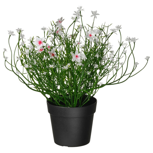 FEJKA artificial potted plant, in/outdoor/Baby’s breath white, 9 cm