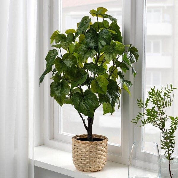 Ikea FEJKA - Artificial potted plant, in/outdoor Crimson glory vine, 15 cm