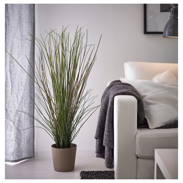 FEJKA artificial potted plant, grass, 17 cm