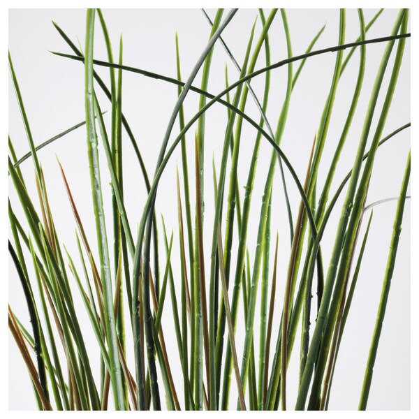 FEJKA - Artificial potted plant, grass, 17 cm