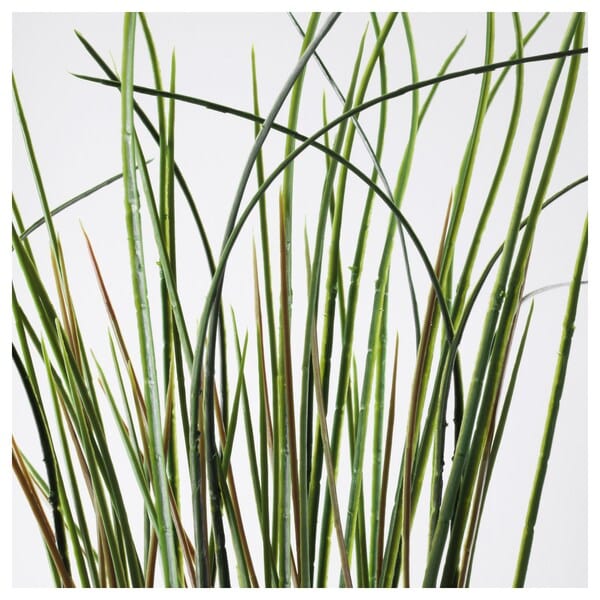 Ikea FEJKA - Artificial potted plant, grass, 17 cm