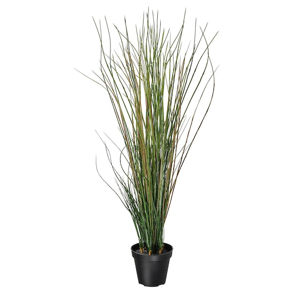 FEJKA - Artificial potted plant, grass, 17 cm