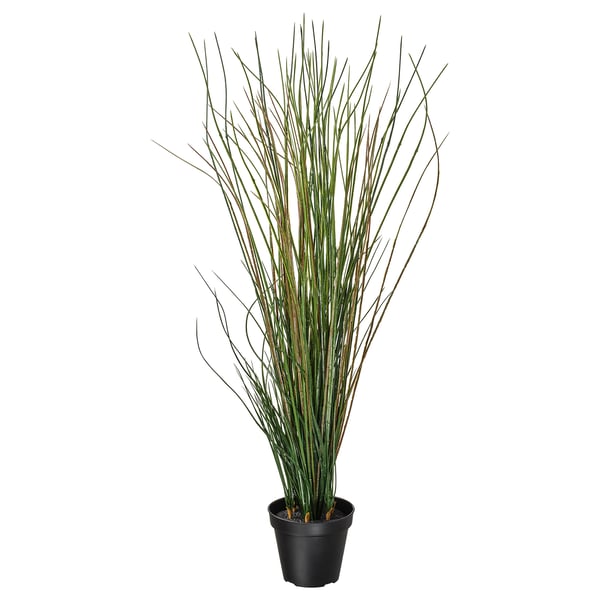 FEJKA artificial potted plant, grass, 17 cm