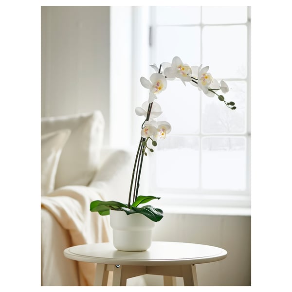 FEJKA artificial potted plant, Orchid white, 12 cm
