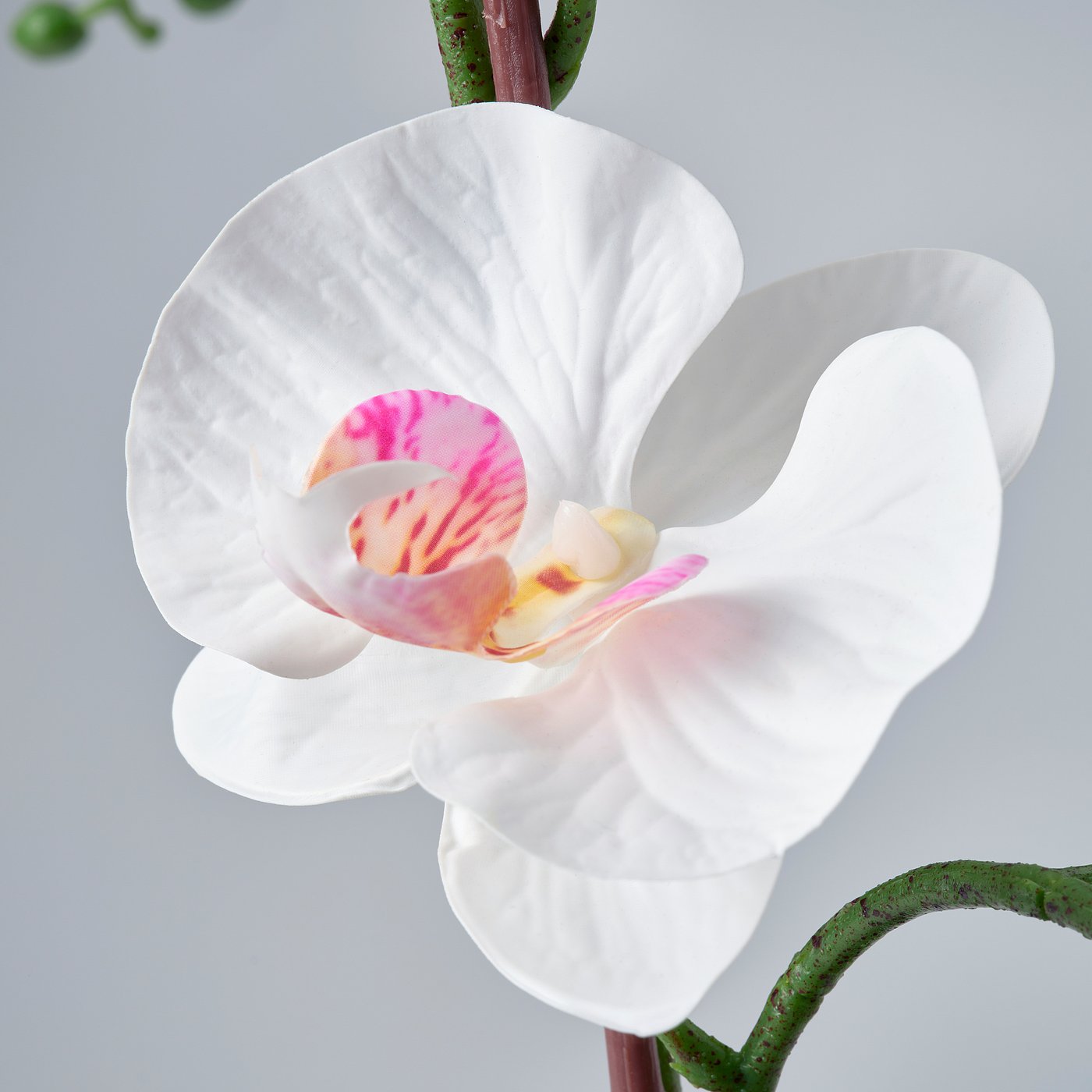 FEJKA artificial potted plant, Orchid white, 12 cm