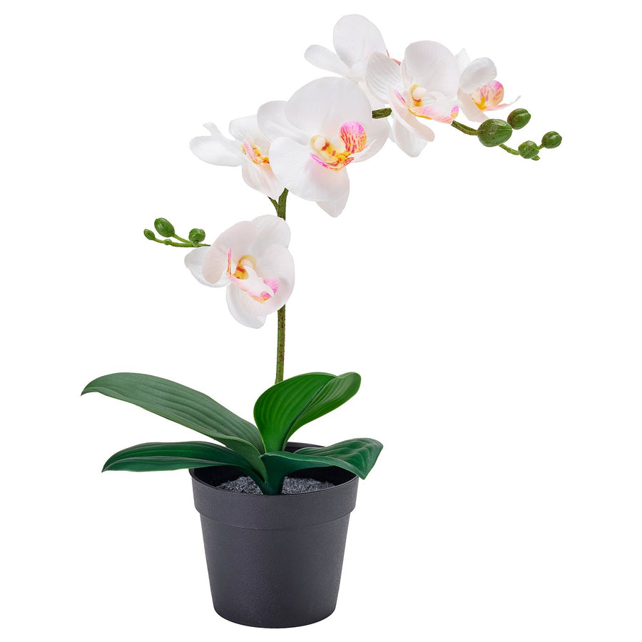 FEJKA artificial potted plant, Orchid white, 9 cm