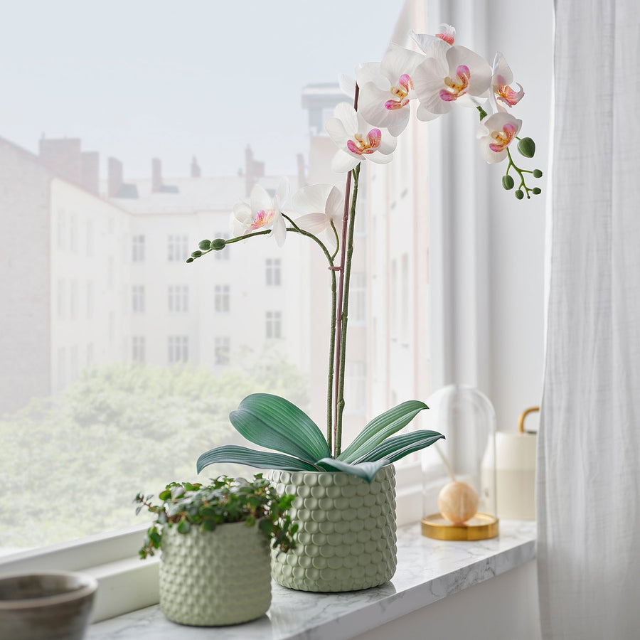 FEJKA artificial potted plant, Orchid white, 12 cm