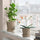 FEJKA artificial potted plant, Orchid white, 9 cm