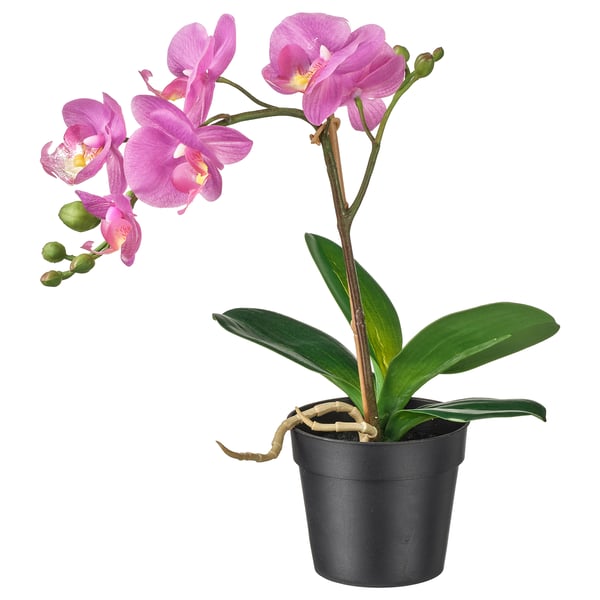 FEJKA artificial potted plant, Orchid lilac, 9 cm