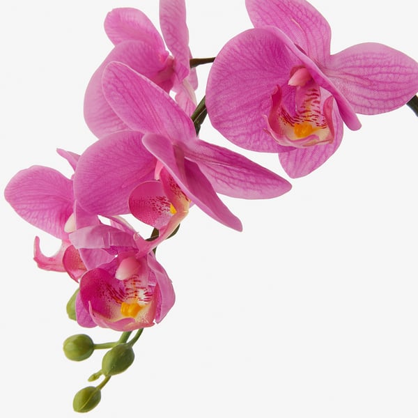 FEJKA artificial potted plant, Orchid lilac, 9 cm