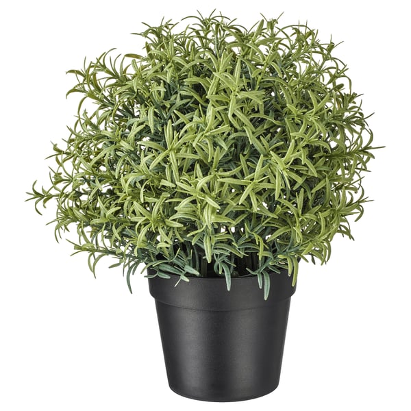 FEJKA artificial potted plant, Rosemary, 9 cm