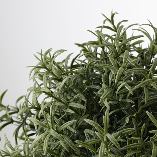 FEJKA artificial potted plant, Rosemary, 9 cm