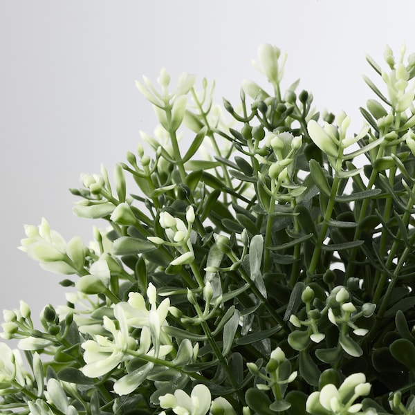 FEJKA - Artificial potted plant, thyme, 9 cm