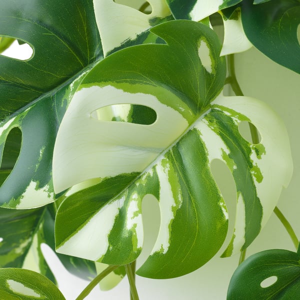 FEJKA artificial plant with wall holder, in/outdoor/green