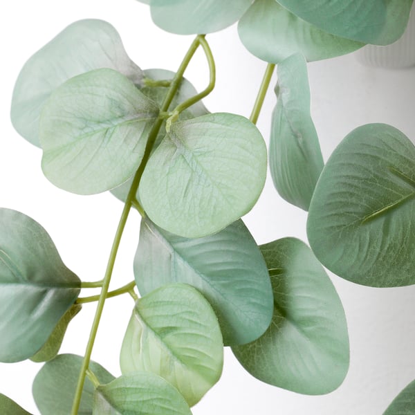 FEJKA artificial plant with wall holder, in/outdoor/green