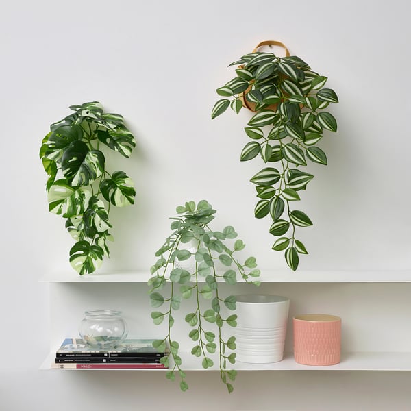 FEJKA artificial plant with wall holder, in/outdoor/green