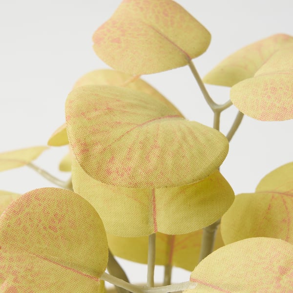 FEJKA - FEJKA Artifi potted plant w pot, set of 3, in/outdoor leaves, 6 cm