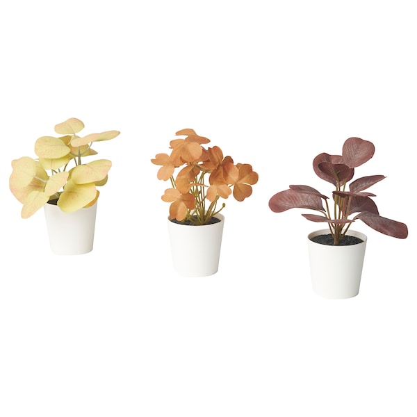 FEJKA - Artifi potted plant w pot, set of 3, in/outdoor leaves, 6 cm