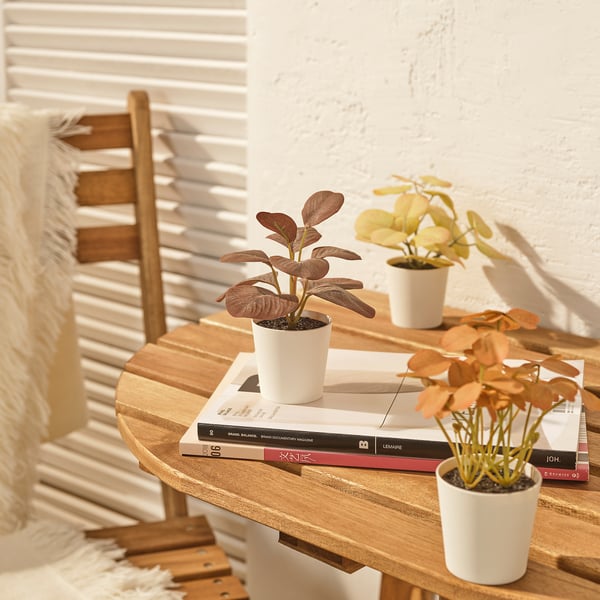 FEJKA artifi potted plant w pot, set of 3, in/outdoor leaves, 6 cm