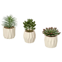 FEJKA artificial potted plant, set of 3, in/outdoor Succulent