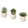 FEJKA artificial potted plant, set of 3, in/outdoor Succulent