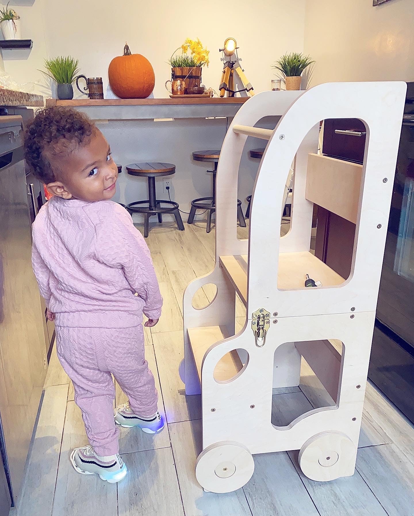 Car Step Stool