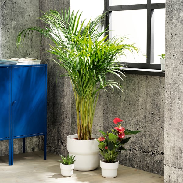 FÖRENLIG plant pot, in/outdoor white, 24 cm