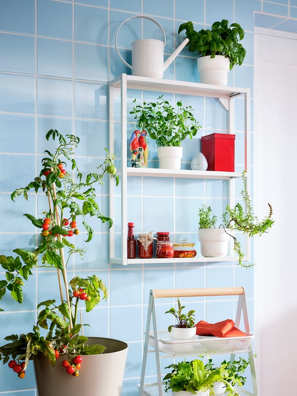 FÖRENLIG plant pot, in/outdoor white, 12 cm