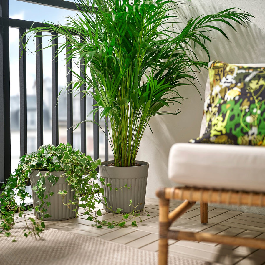 FRÄKENVÄXT plant pot, in/outdoor/dark grey-beige, 26 cm