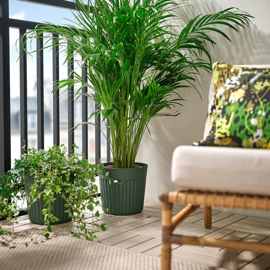 FRÄKENVÄXT plant pot, in/outdoor/deep green, 24 cm