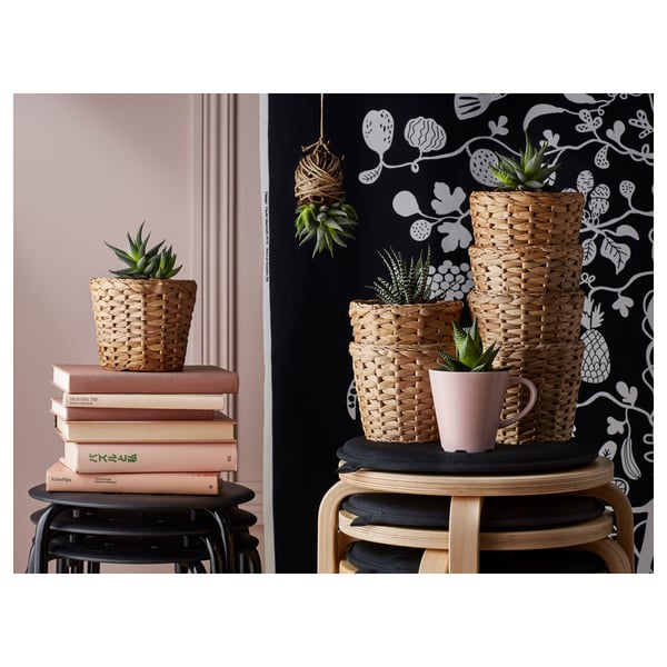 FRIDFULL plant pot, water hyacinth, 12 cm
